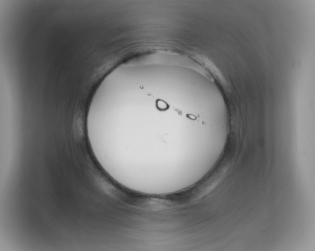 X0000111390393200907311118