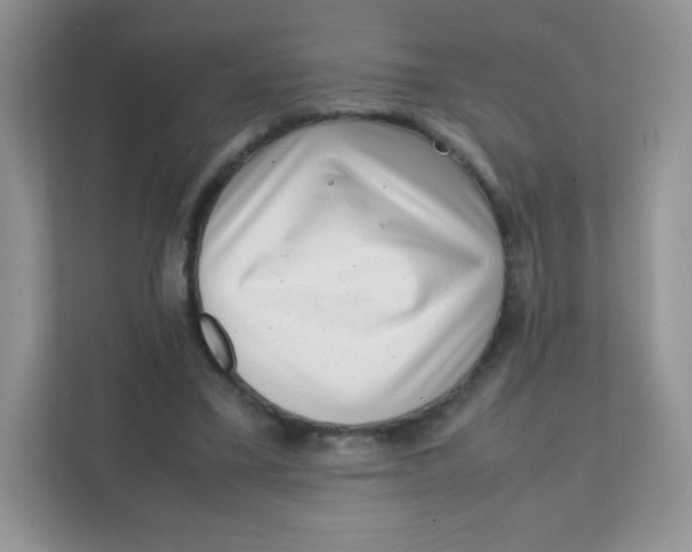 X0000111390395200907311118