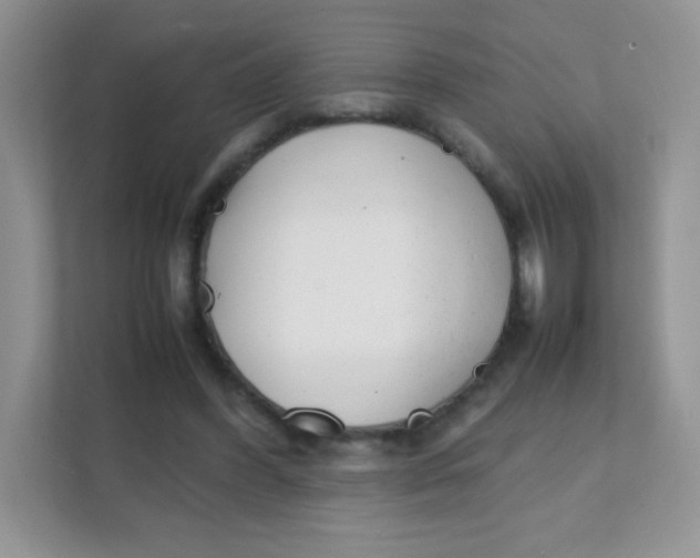 X0000111390396200907311118