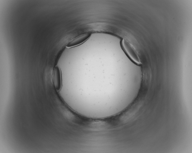 X0000111390397200907311118