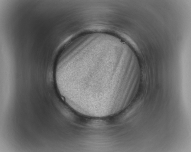 X0000111390399200907311118