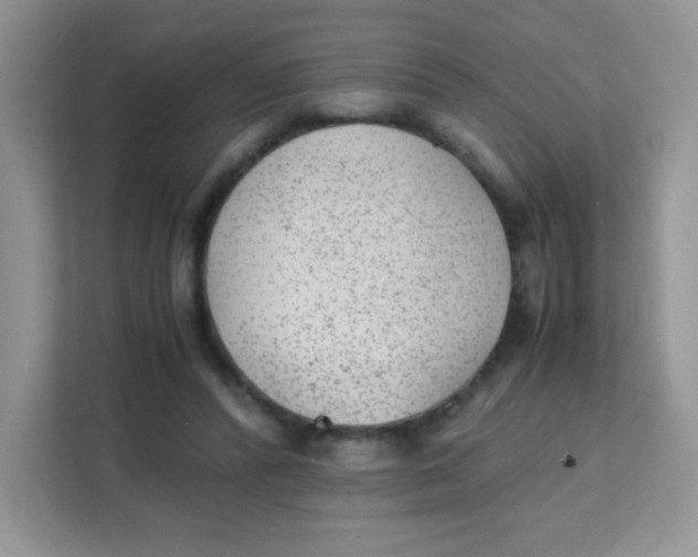 X0000111390400200907311118