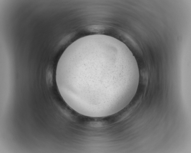 X0000111390404200907311118