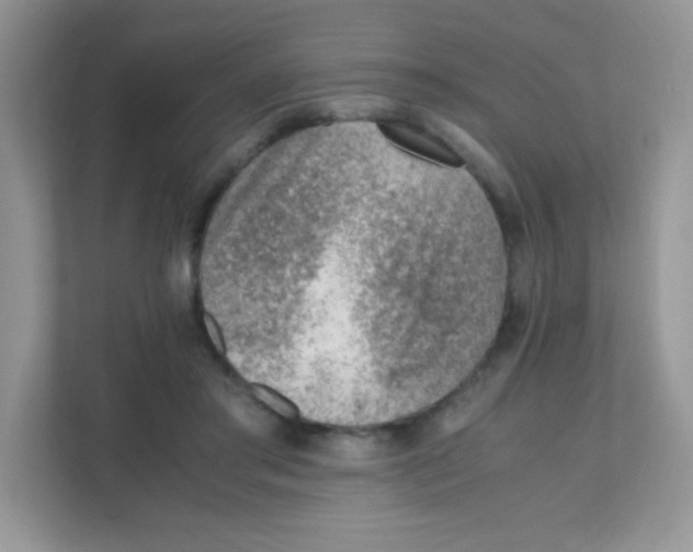 X0000111390405200907311118