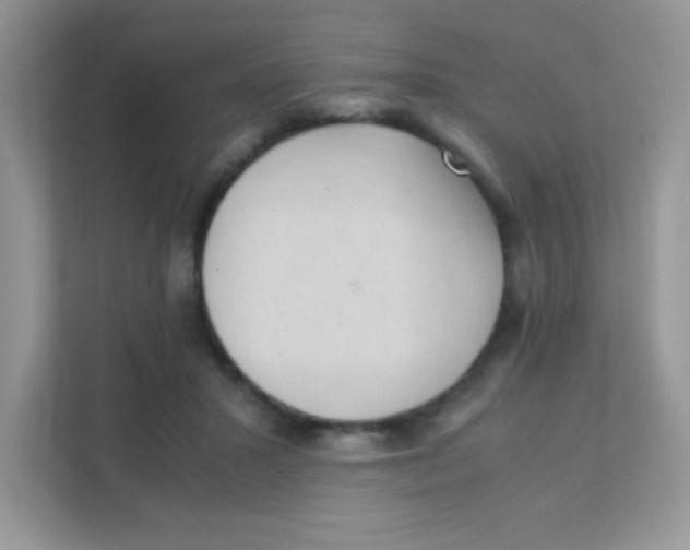 X0000111390407200907311118