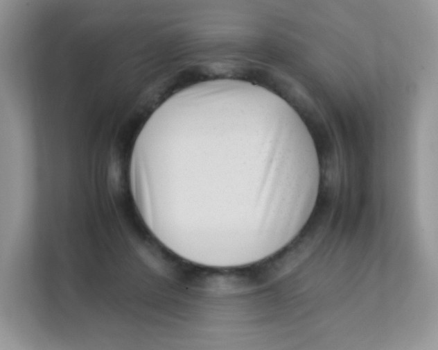 X0000111390408200907311118