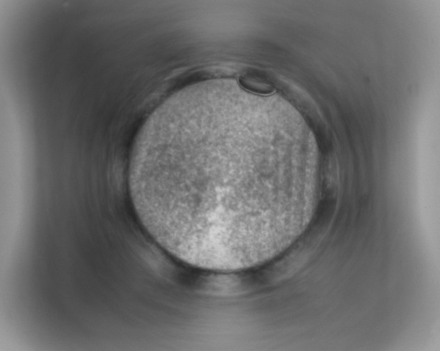 X0000111390409200907311118