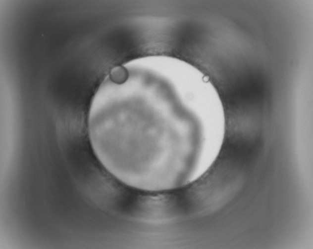 X0000111390411200907311118