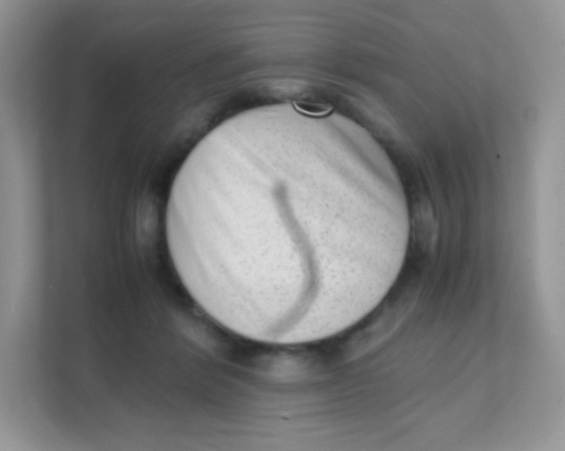 X0000111390412200907311118