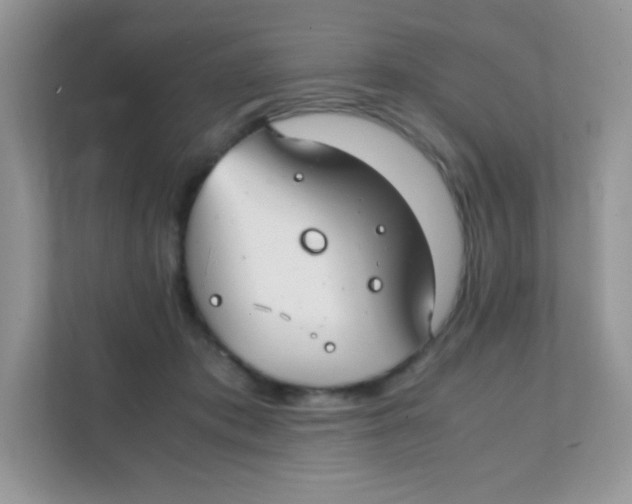 X0000111390413200907311118