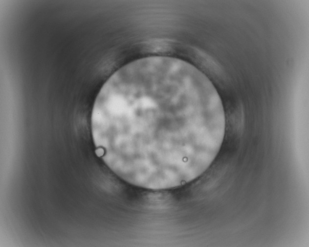 X0000111390415200907311118