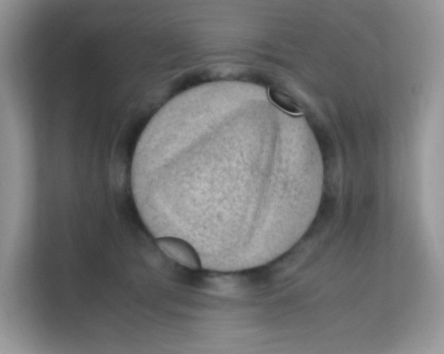 X0000111390417200907311118