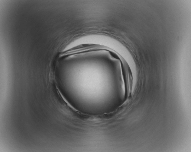 X0000111390419200907311118