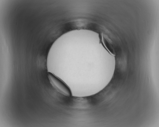 X0000111390421200907311118