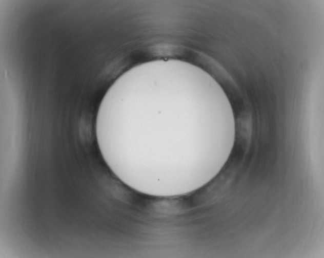 X0000111390422200907311118