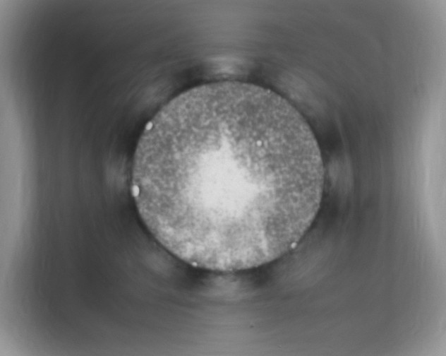 X0000111390423200907311118