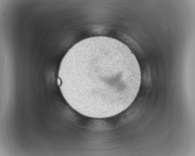 X0000111390424200907311117