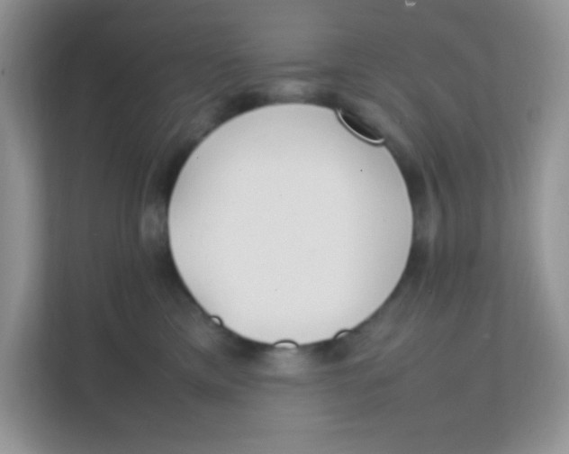 X0000111390425200907311117