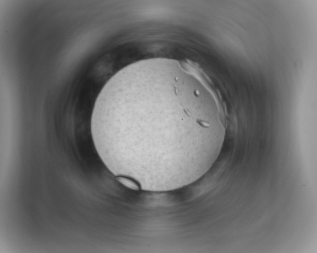 X0000111390428200907311117