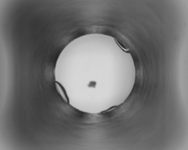 X0000111390429200907311117