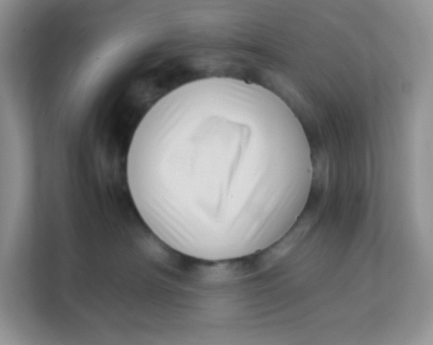 X0000111390430200907311117