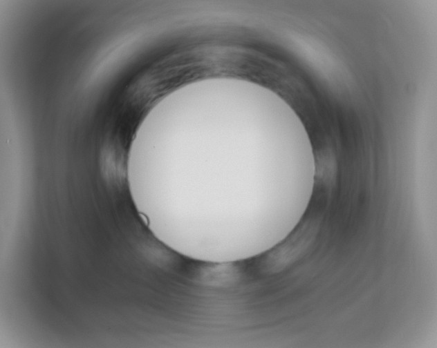 X0000111390431200907311117