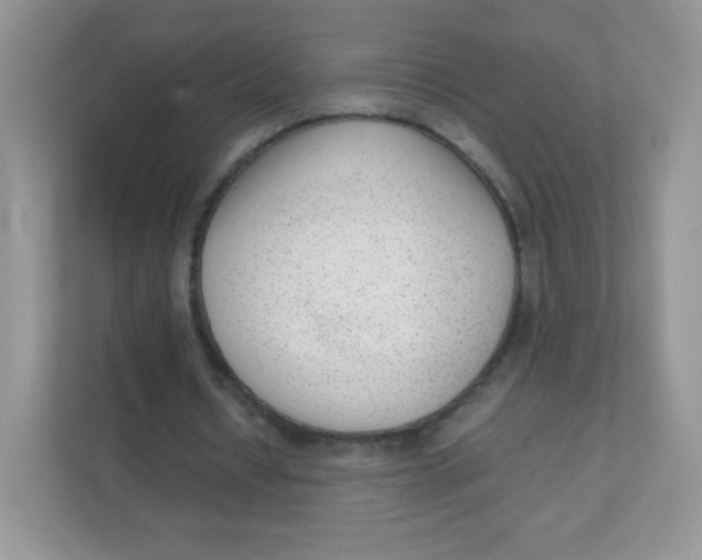 X0000111390434200907311117