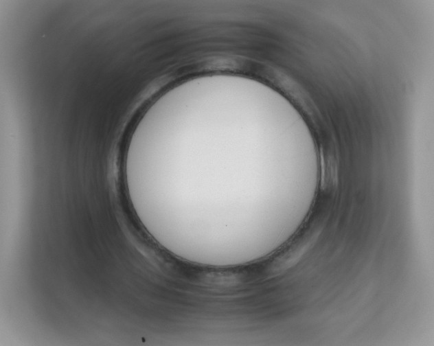 X0000111390435200907311117