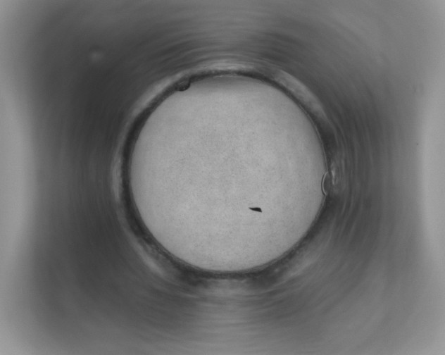 X0000111390436200907311117