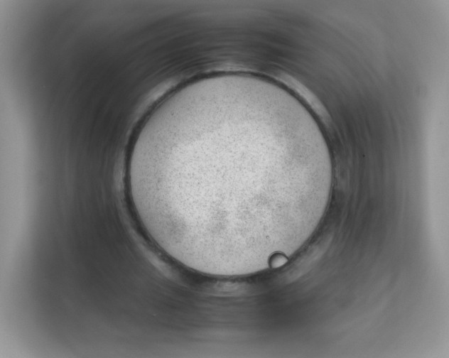 X0000111390437200907311117