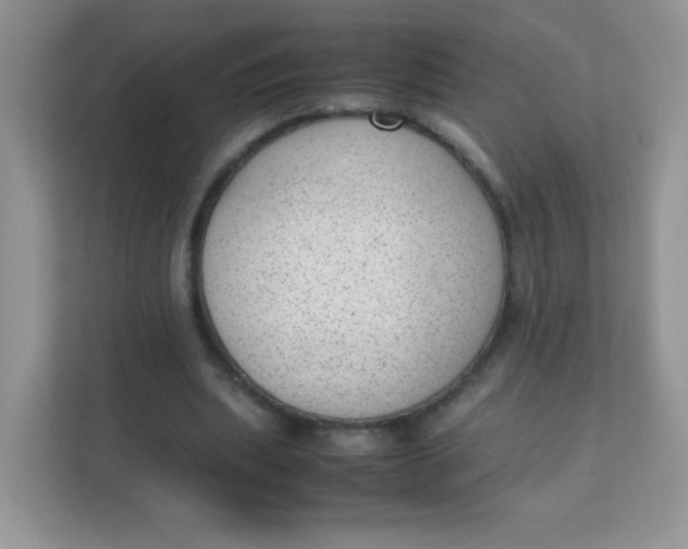 X0000111390439200907311117