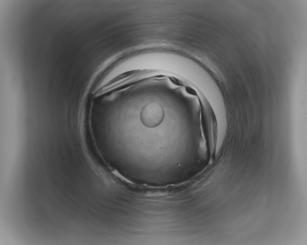 X0000111390440200907311117