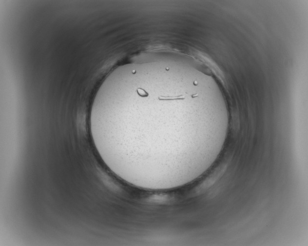 X0000111390441200907311117