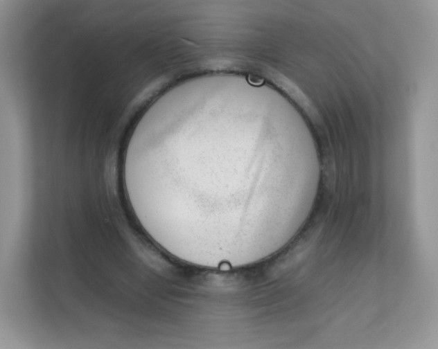 X0000111390442200907311117