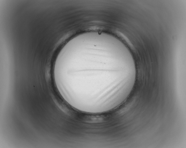 X0000111390443200907311117