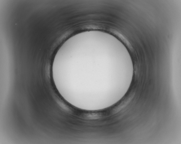 X0000111390445200907311117