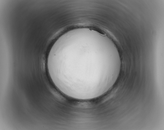 X0000111390446200907311117