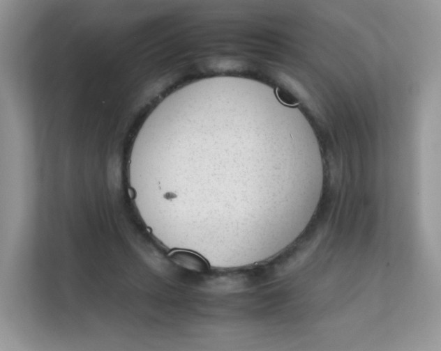 X0000111390447200907311117