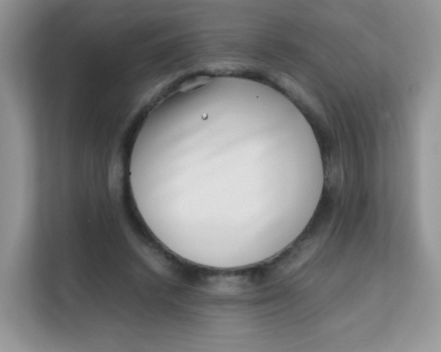 X0000111390448200907311117