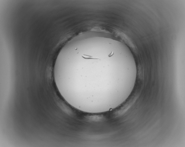 X0000111390449200907311117