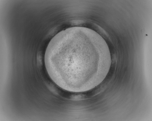 X0000111390452200907311117