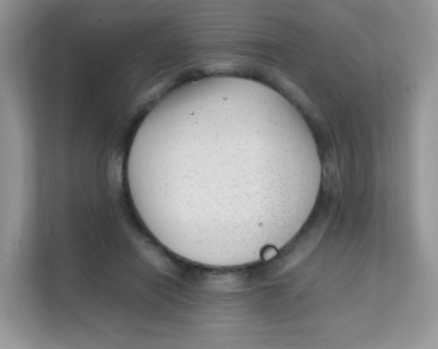 X0000111390454200907311117