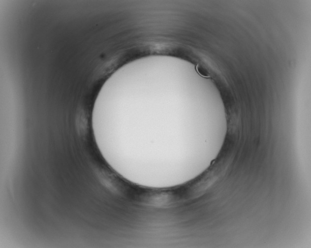 X0000111390456200907311117