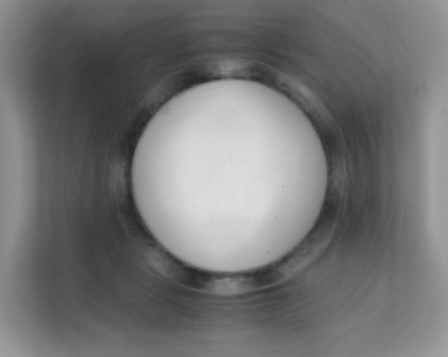 X0000111390461200907311117