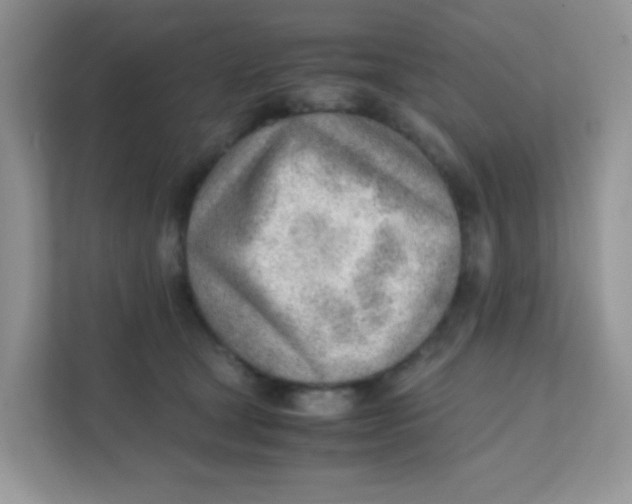 X0000111390465200907311117