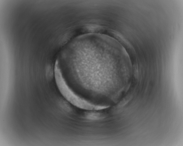 X0000111390471200907311117