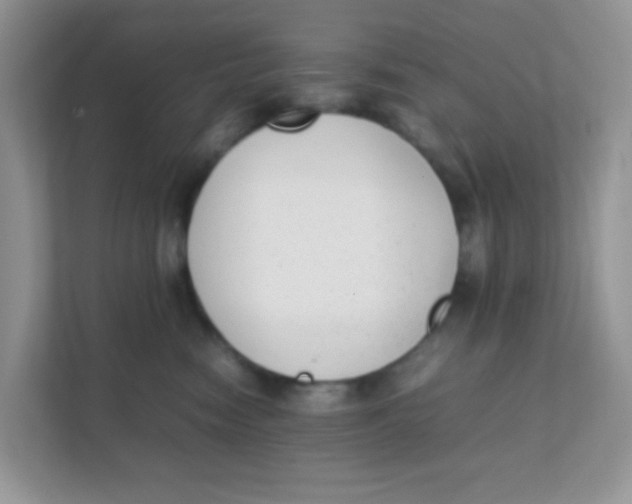 X0000111390474200907311117