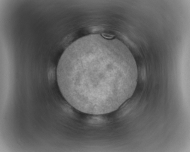 X0000111390475200907311117