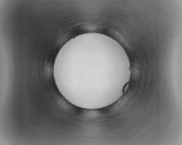 X0000111390476200907311117