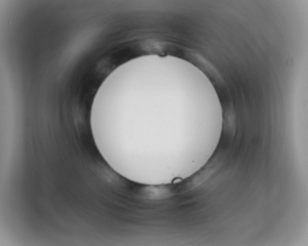 X0000111390477200907311117